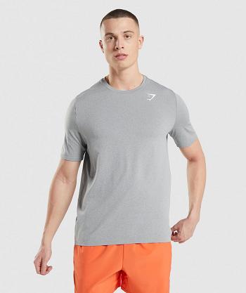 Gymshark Arrival Seamless Muške T Shirts Sive | HR 2407RVD